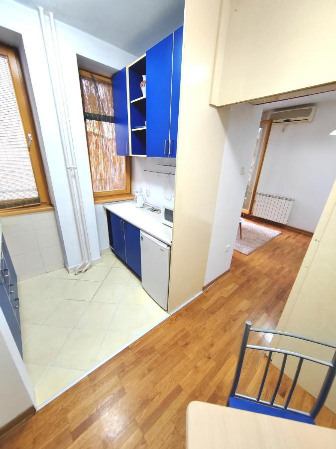 Magenta Vracar Daire Belgrad Dış mekan fotoğraf