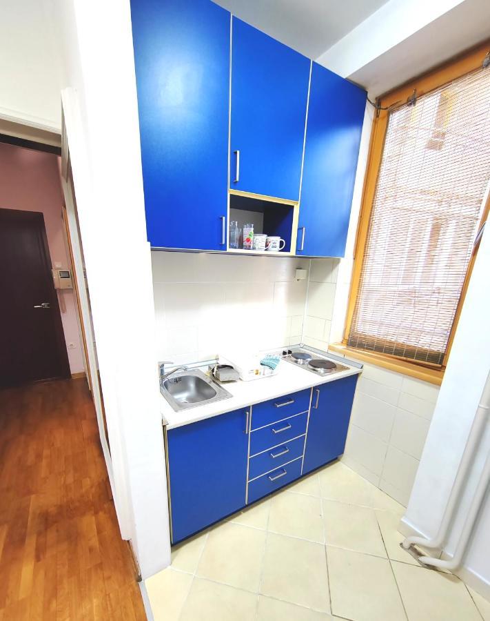 Magenta Vracar Daire Belgrad Dış mekan fotoğraf